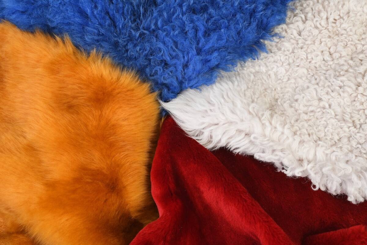 slide-DSC 5263 Kopie